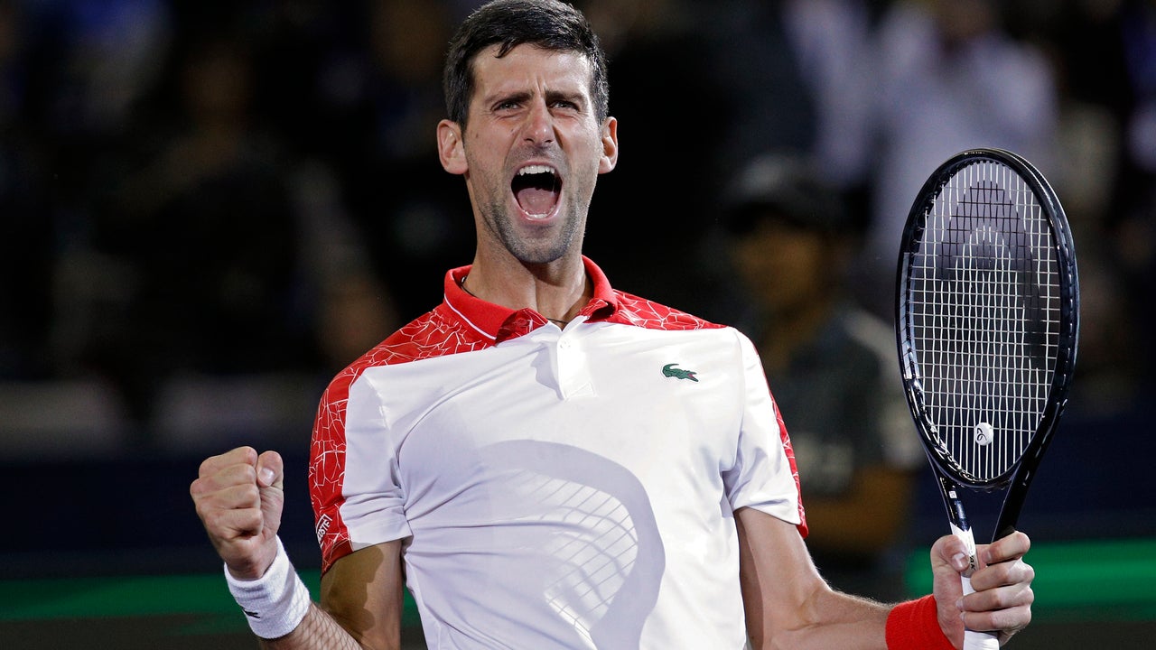 Djokovic beats Sousa in straight sets at Paris Masters